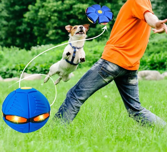 Flying Saucer Ball Dog Toy in use