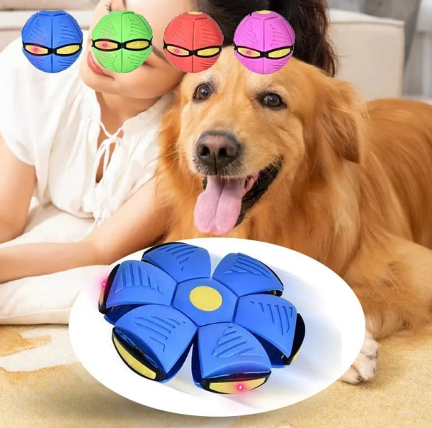 Flying Saucer Ball Dog Toy