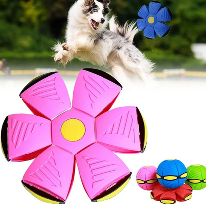 Flying Saucer Ball Dog Toy Outdoor Use