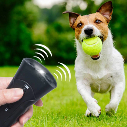 Pet Dog Repeller in use
