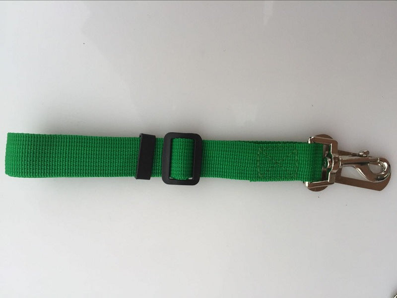 Dog Leads