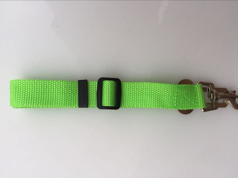 Dog Leads