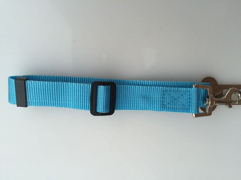 Dog Leads