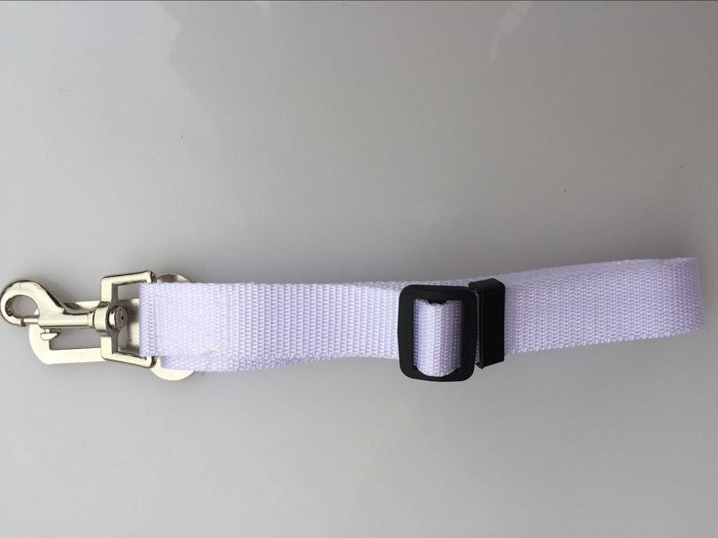 Dog Leads
