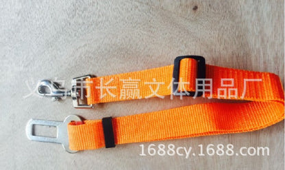 Dog Leads
