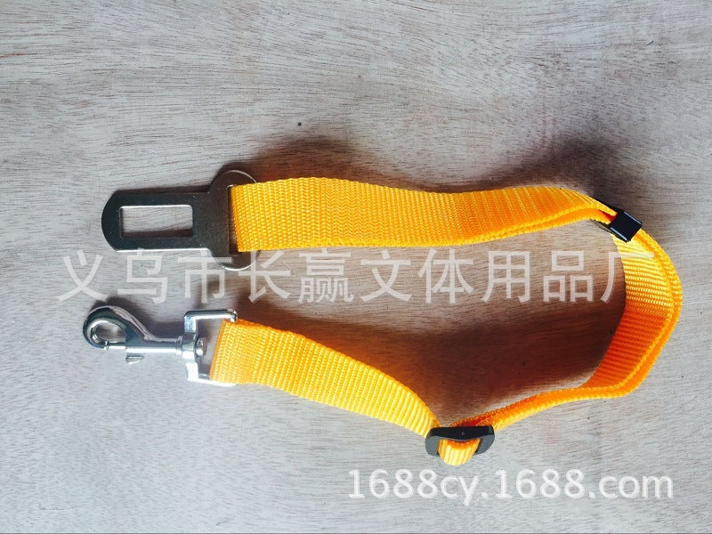 Dog Leads