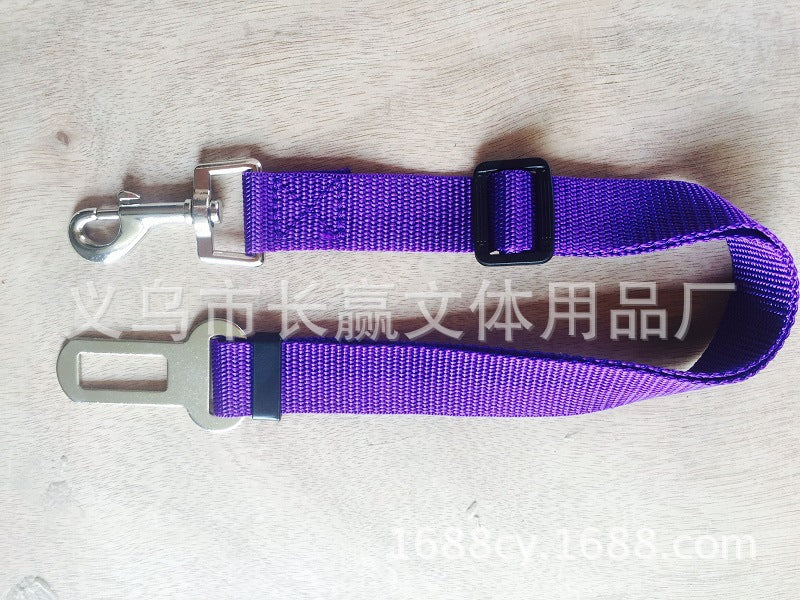 Dog Leads
