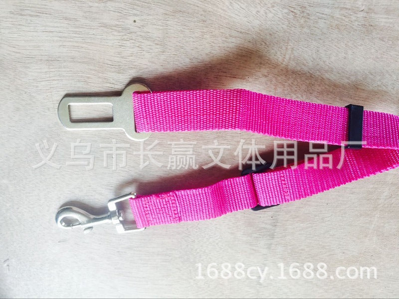 Dog Leads