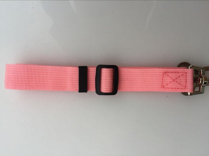 Dog Leads