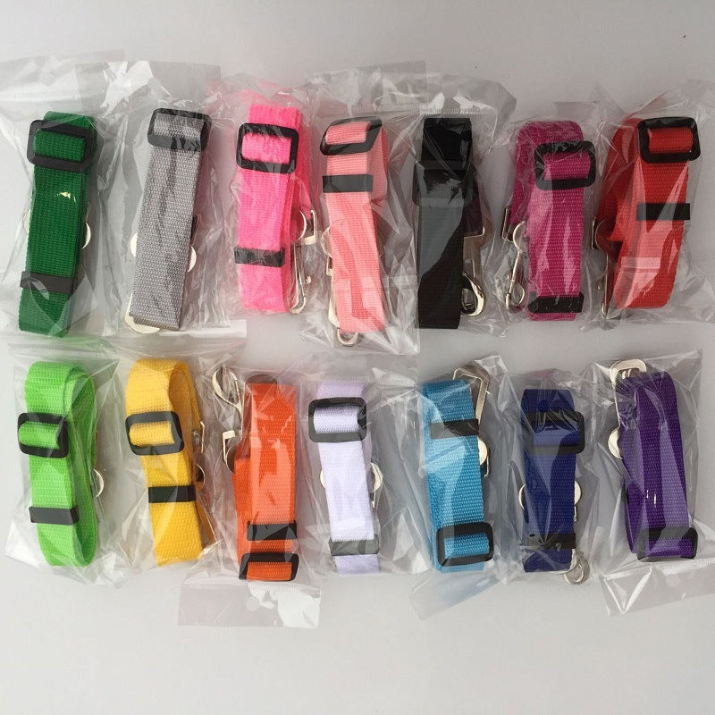Dog Leads
