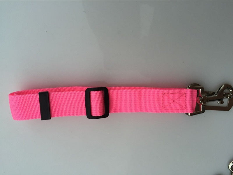 Dog Leads