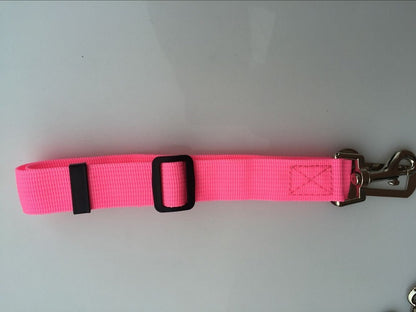 Dog Leads